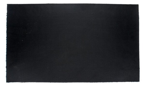 Изтривалка от кокосови влакна 73x43 cm Dog Park – Rex London