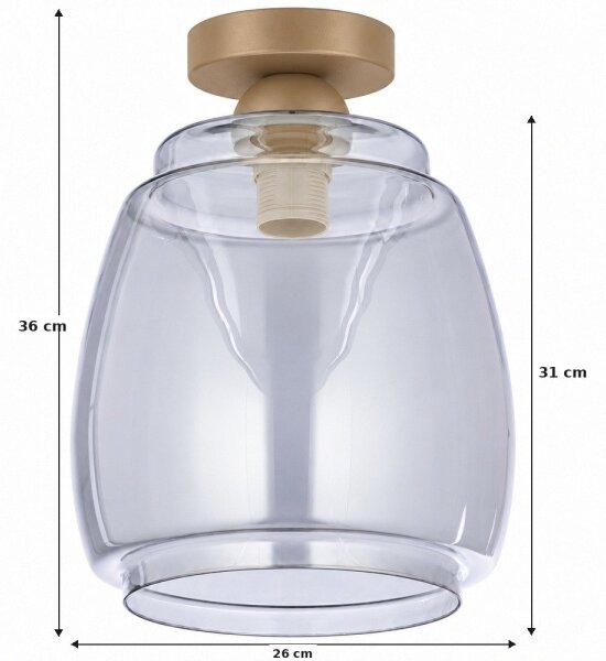 BRILAGI - LED таванно осветително тяло R GLASS 1xE27/60W/230V Ø 26 см бежово/димносиво