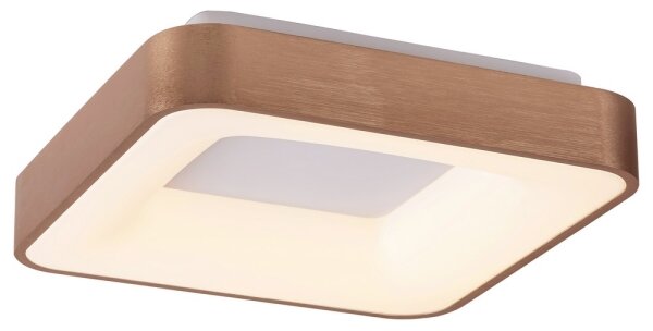 Rabalux 5056 - LED Плафониера CARMELA LED/30W/230V