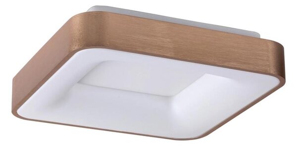 Rabalux 5056 - LED Плафониера CARMELA LED/30W/230V