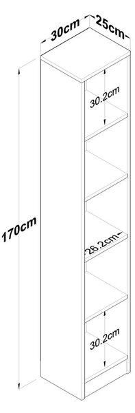 Етажерка за книги в декор от орех в естествен цвят 30x170 cm Allen - Kalune Design