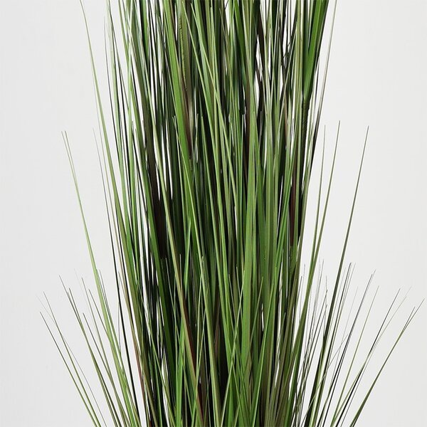 Декоративно растение Boxwood Boxwood Black 46x46x150 cm