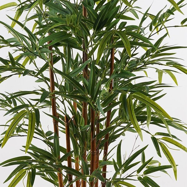 Декоративно растение Rhapis Palm Green 60x60x120 cm