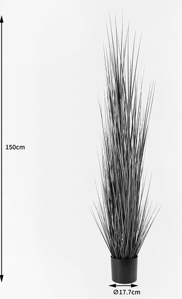 Декоративно растение Boxwood Boxwood Black 46x46x150 cm