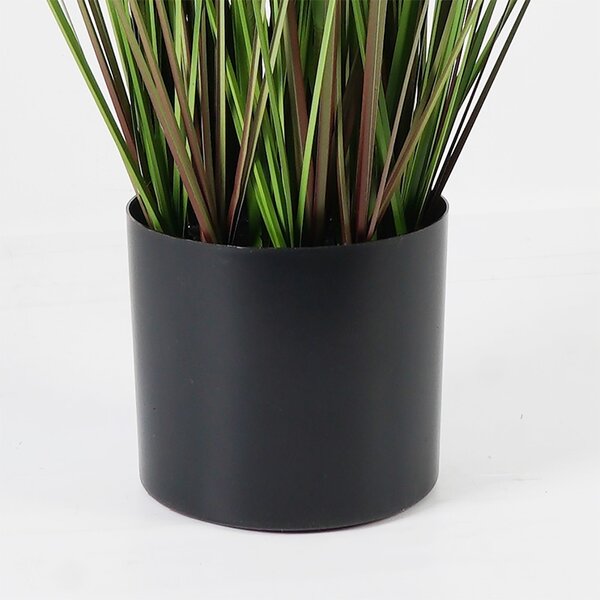Декоративно растение Boxwood Boxwood Black 46x46x150 cm