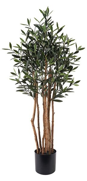 Декоративно растение в саксия Olia Green 52x52x120 cm