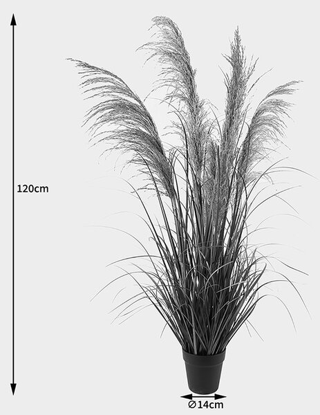 Декоративно саксийно растение Bulrush Green 65x65x120 cm
