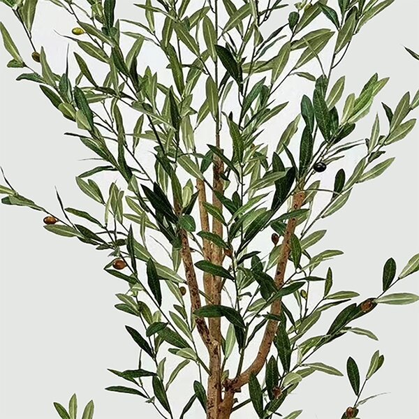 Декоративно растение в саксия Olia Green 65x55x180 cm
