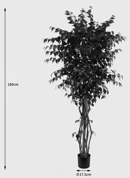 Декоративно растение Banyan Green 95x95x180 cm