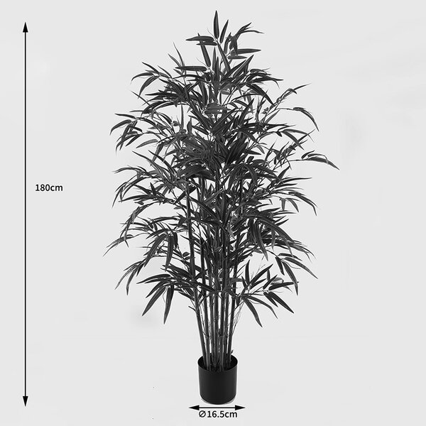Декоративно саксийно растение Rhapis Palm Green 80x80x180 cm
