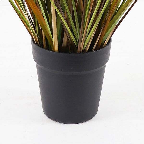 Декоративно саксийно растение Bulrush Green 65x65x120 cm