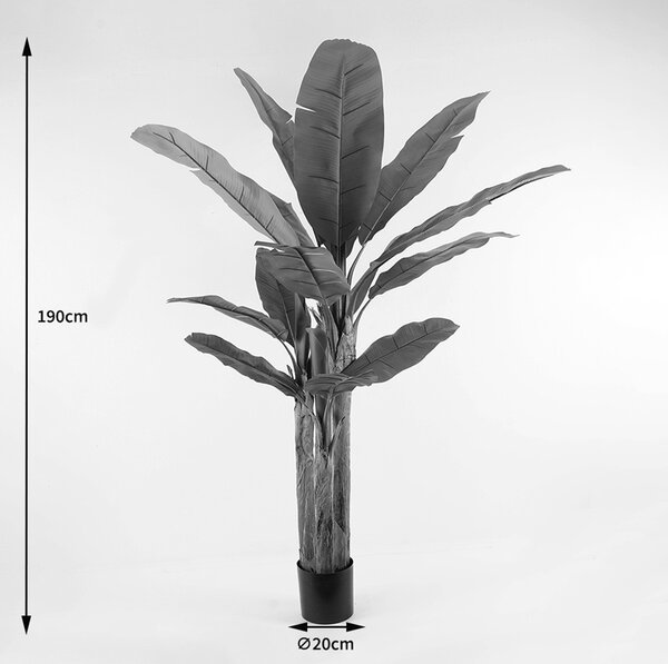 Декоративно растение в саксия Бананово дърво Зелено 53x53x190 cm