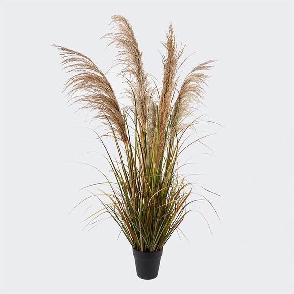 Декоративно саксийно растение Bulrush Green 65x65x120 cm