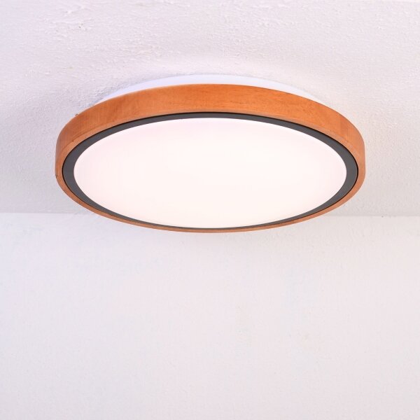 Globo 41764-12 - LED Плафон BRUNO LED/12W/230V 307 мм 3000/4500/6000K