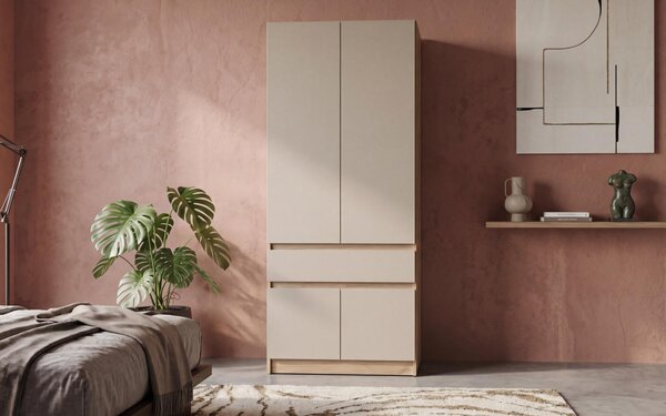 Секция Денвър
