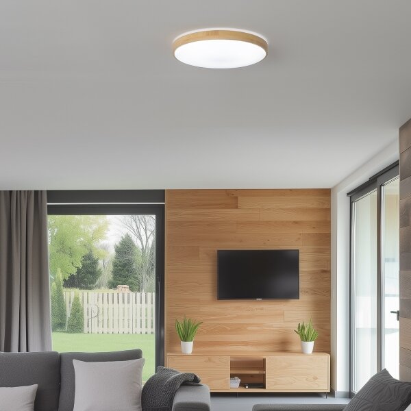 Brilagi - LED димируемо таванно осветително тяло PINE LED/24W/230V + дистанционно управление