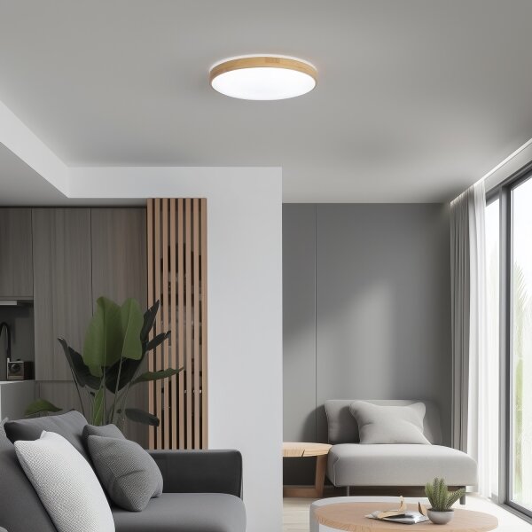 Brilagi - LED димируемо таванно осветително тяло PINE LED/24W/230V + дистанционно управление