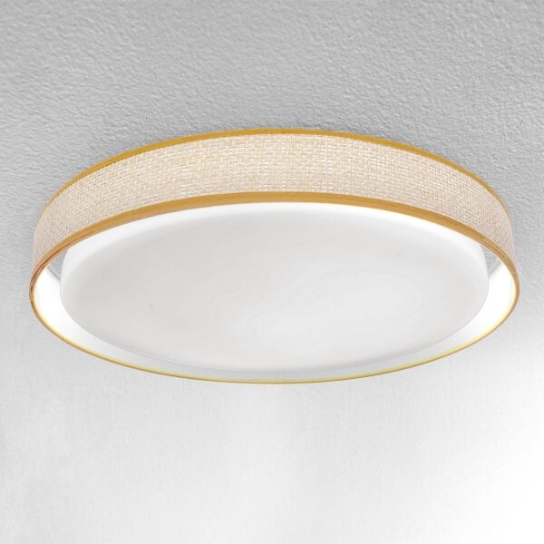 Brilagi - LED регулируемо таванно осветление KIANIA LED/48W/230V 3000-6500K + DO