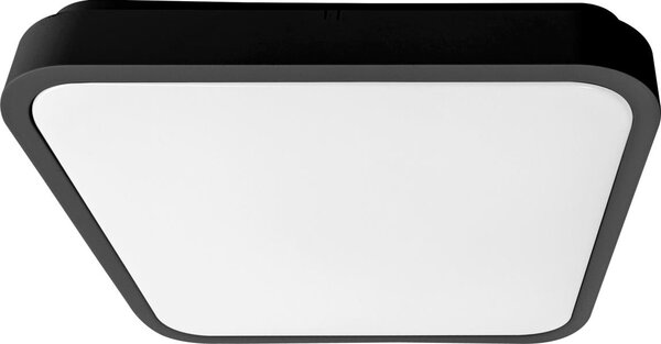 Brilagi - LED таванно осветително тяло за баня ZENNA LED/12W/230V 24x24 см IP44 черно