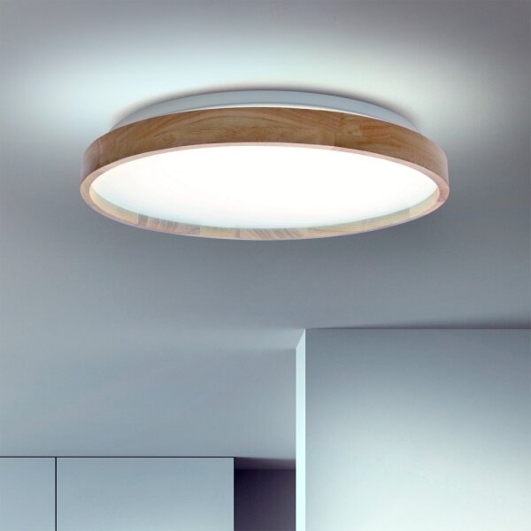 Brilagi - Димируемо LED таванно осветително тяло ALSON LED/48W/230V 3000-6500K + с дистанционно управление