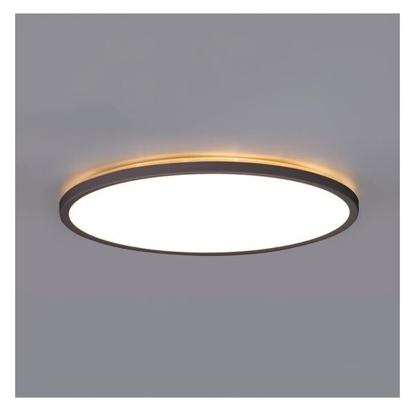LED баня таванно осветление NIVERA LED/12W/230V IP54 Ø22,5 см черно