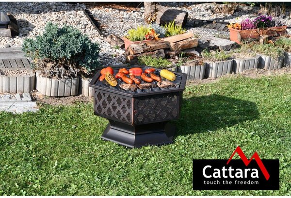 Камина Hexagon – Cattara