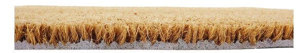 Изтривалка от кокосови влакна 60x90 cm Welcome Paws – Artsy Doormats