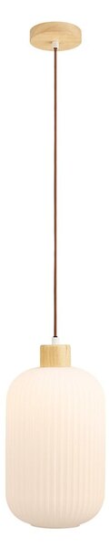 Бяло висящо осветително тяло със стъклен абажур ø 20 cm Argalo – House Nordic