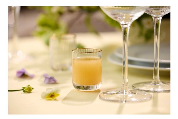 Чаши за шотове в комплект от 4 бр. 60 ml Palermo – Lyngby Glas