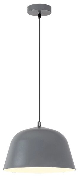 Rabalux Malia Висящи осветителни тела IP20 E27 1x MAX 60W K 3095