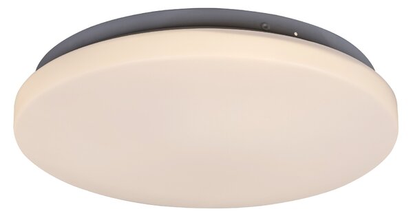 Rabalux Rob Таванно осветление (плафони) IP20 LED 20W 3338