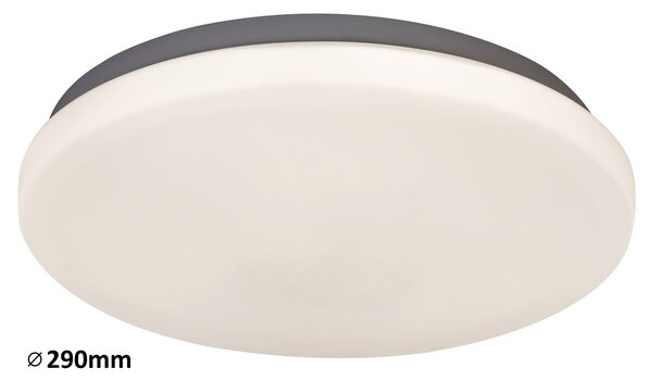 Rabalux Rob Таванно осветление (плафони) IP20 LED 20W 2284