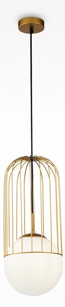 Maytoni Висящо осветително тяло - P363PL-01G