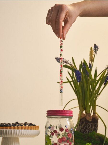 Sinsay - Стъклени сламки с мотив плодове 4 pack - многоцветен