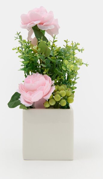 Sinsay - Pianta decorativa in vaso - пастелнорозово