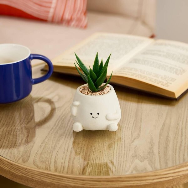 Изкуствено растение atmosphera Nippon Line, Керамична саксия, 11 cm
