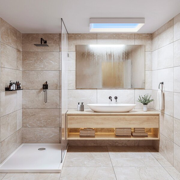 Philips LED таванна лампа SKYLIGHT, 65 x 45 см, бяла, CCT IP44, Затъмняване, Бял, Дневна/трапезария, Пластмаса, Модерен