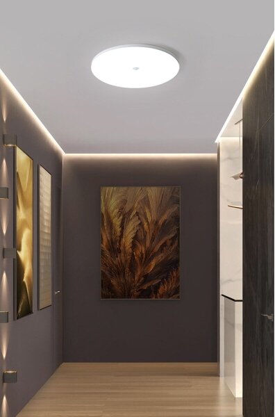 LED таванно осветително тяло със сензор за сумрак и движение MORETTI 24W/230V Ø 30 см IP40 6500K