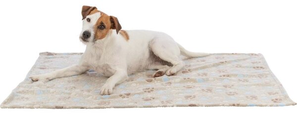 Бежово одеяло за куче от флийс 100x70 cm Trixie Laslo – Plaček Pet Products