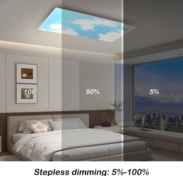 Brilagi - LED димируемо таванно осветително тяло SLIMFRAME SKY LED/80W/230V 120x60 см сребрист/син + дистанционно