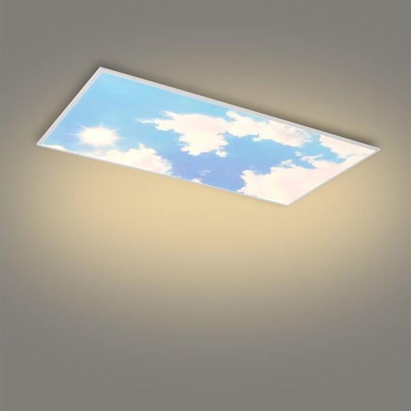 Brilagi - LED димируемо таванно осветително тяло SLIMFRAME SKY LED/80W/230V 120x60 см сребрист/син + дистанционно