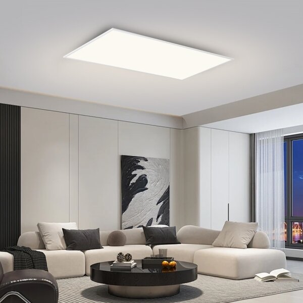 Brilagi - LED таванно осветително тяло SLIMFRAME LED/80W/230V 120x60 см 3000/4000/6000K бяло